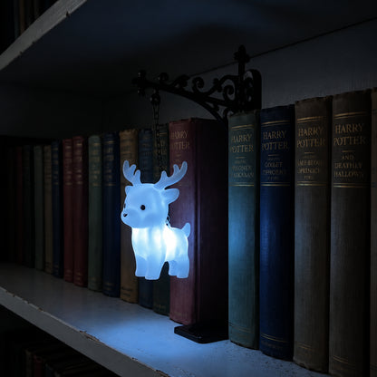 ShelfPerch™